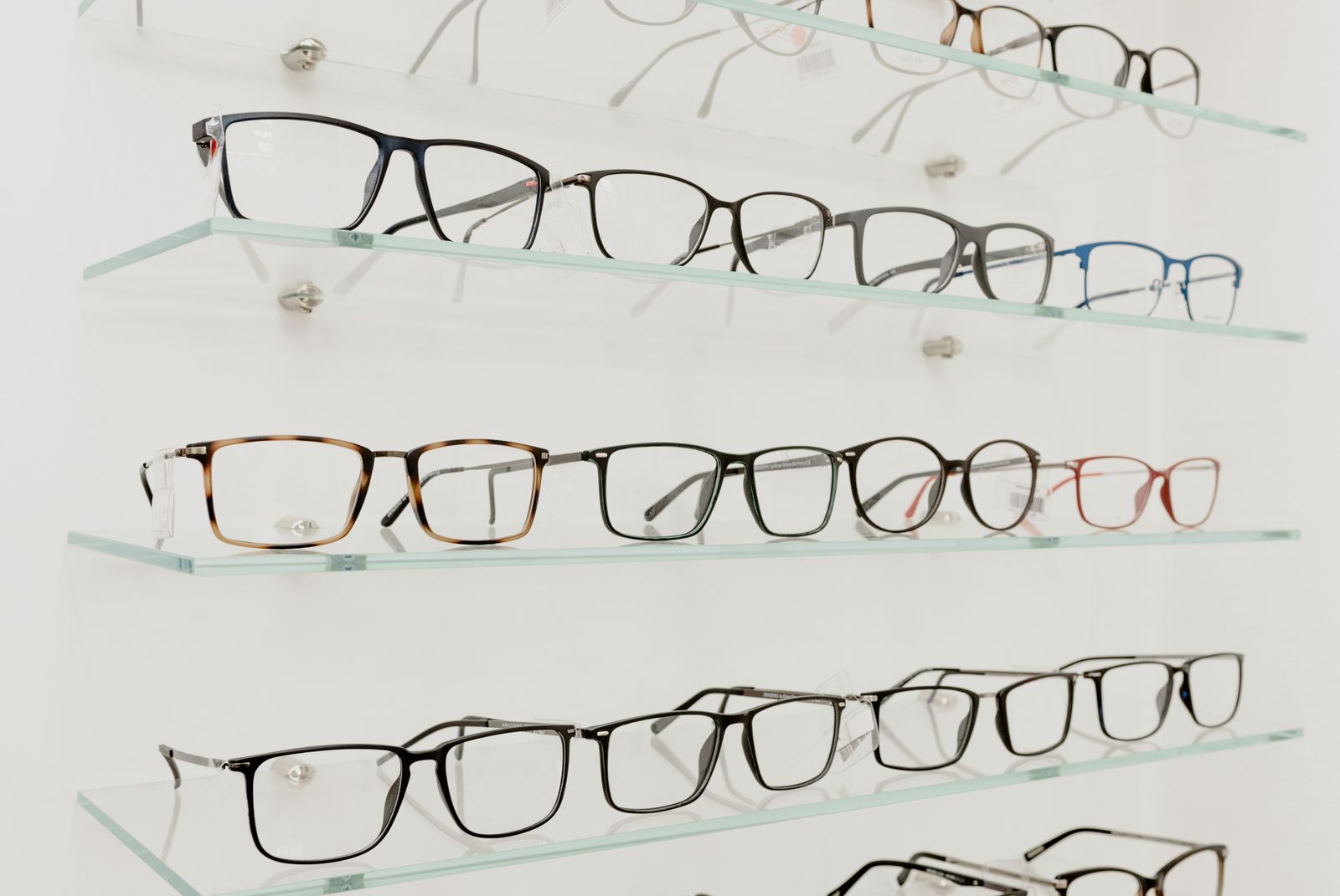 Rows of designer eyeglass frames displayed on glass shelves