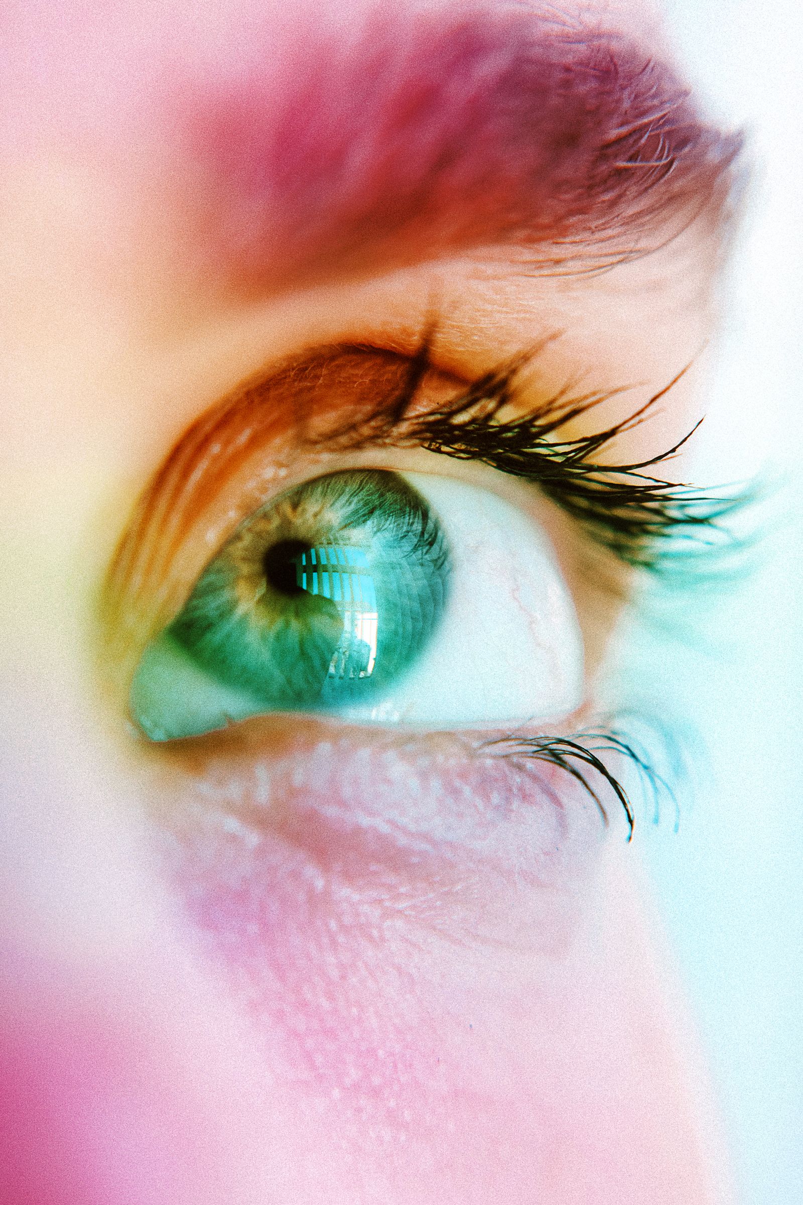 Macro photograph of a human eye